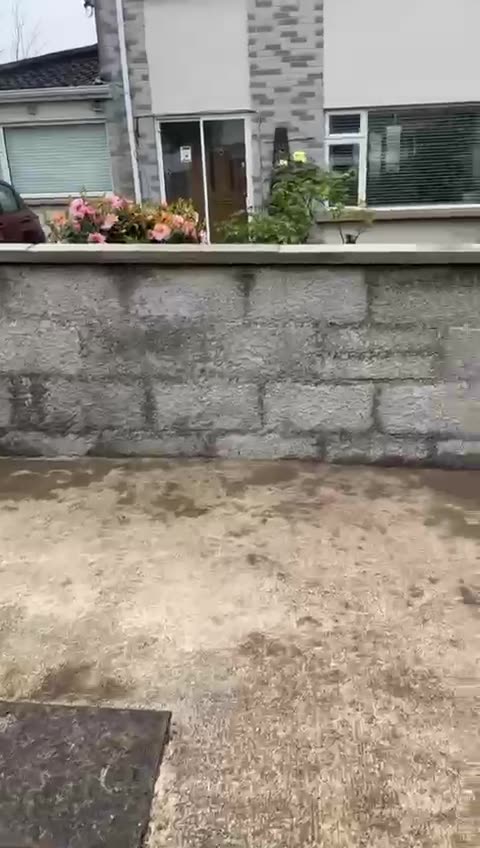 Garden & Wall