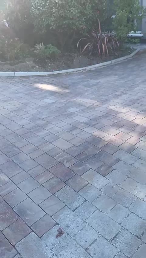 Driveway Paving