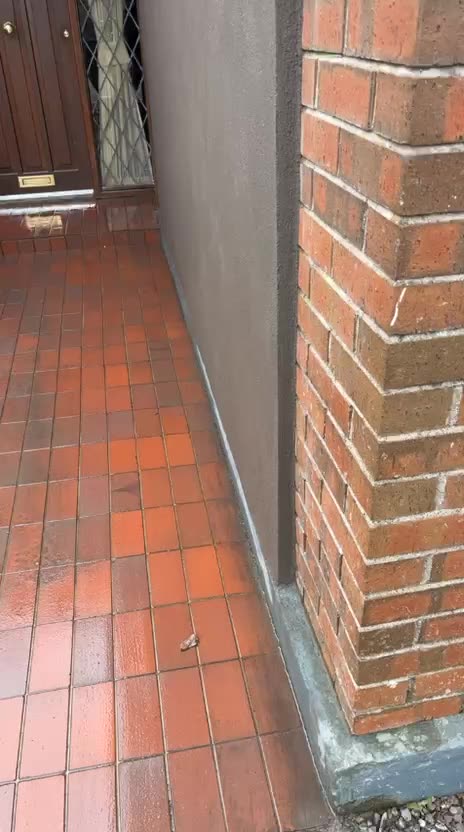 Path & Rendering